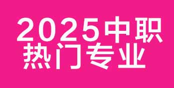 2025 �����T���I TOP8 ���t����н�þ͘I���x�����I���� 3 �ꏝ·